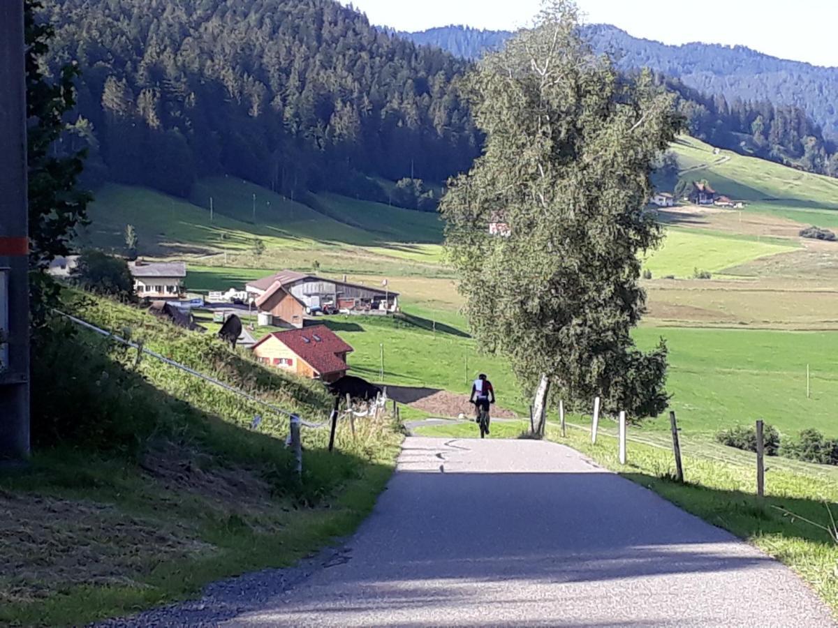 Gaestezimmer Im Dorfzentrum Rothenthurm Zewnętrze zdjęcie